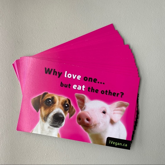 FREE ADD ON - Veg starter kits / recipes, flyers, brochures - Picture 3 of 8